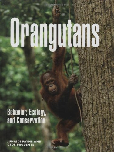Stock image for Orangutans : Behavior, Ecology, and Conservation for sale by Better World Books: West