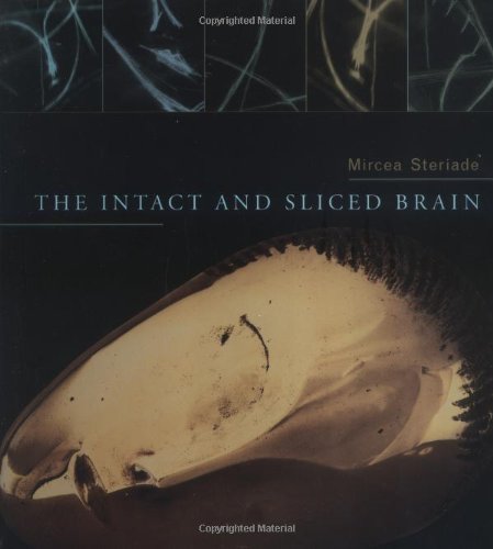 Stock image for The Intact and Sliced Brain (Bradford Books) for sale by Open Books