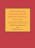 9780262195324: Exploring the Thalamus and Its Role in the Cortical Function
