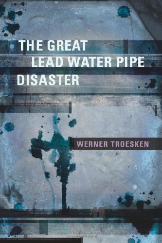 9780262201674: The Great Lead Water Pipe Disaster