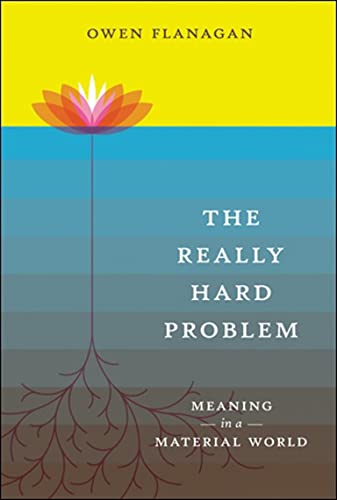 Beispielbild fr The Really Hard Problem: Meaning in a Material World (Bradford Books) zum Verkauf von Powell's Bookstores Chicago, ABAA