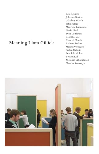 9780262513517: Meaning Liam Gillick (Mit Press)