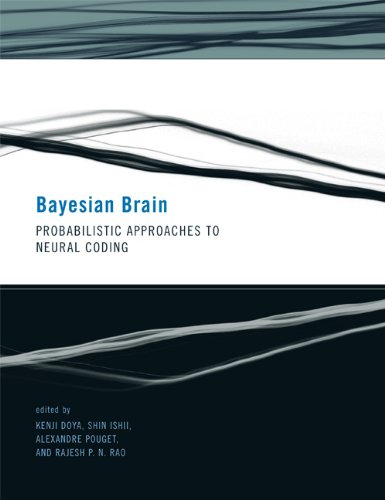 Stock image for Bayesian Brain: Probabilistic Approaches to Neural Coding (Computational Neuroscience) for sale by HPB-Red