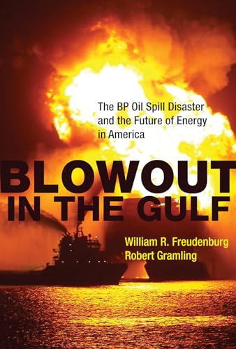 Stock image for Blowout in the Gulf: The BP Oil Spill Disaster and the Future of Energy in America (The MIT Press) for sale by HPB Inc.