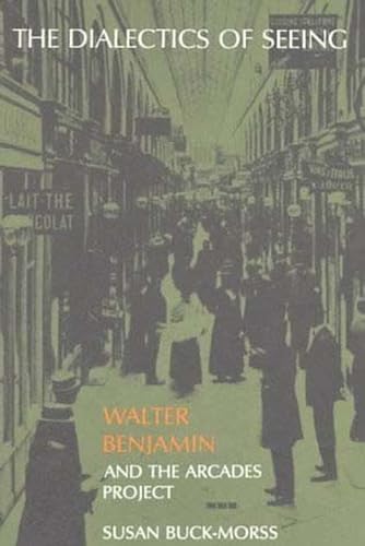 Beispielbild fr The Dialectics of Seeing : Walter Benjamin and the Arcades Project zum Verkauf von Better World Books