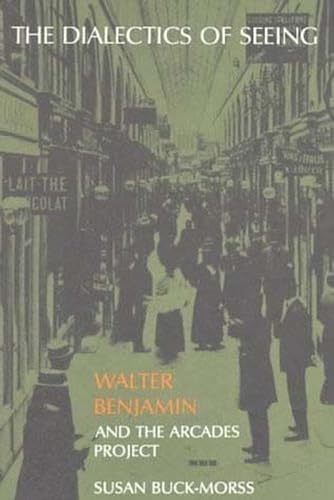 Imagen de archivo de The Dialectics of Seeing: Walter Benjamin and the Arcades Project (Studies in Contemporary German Social Thought) a la venta por Half Price Books Inc.