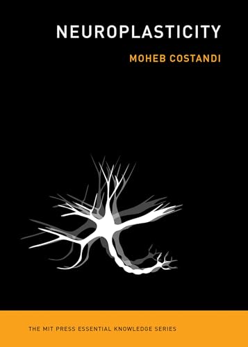 

Neuroplasticity