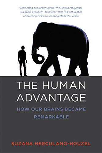 9780262533539: The Human Advantage: How Our Brains Became Remarkable