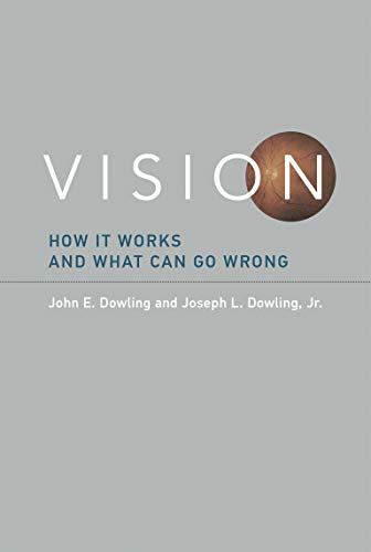 Beispielbild fr Vision: How It Works and What Can Go Wrong (Mit Press) zum Verkauf von Bellwetherbooks