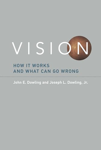 Imagen de archivo de Vision: How It Works and What Can Go Wrong (Mit Press) a la venta por One Planet Books