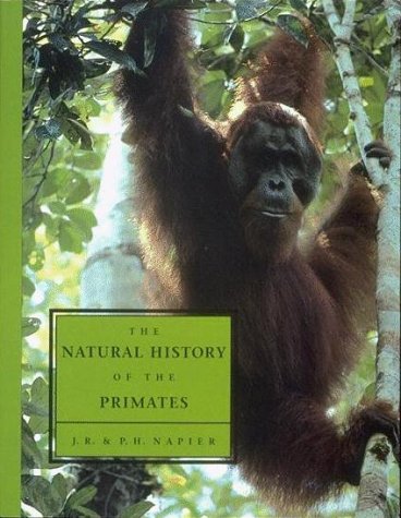 Beispielbild fr The Natural History of the Primates zum Verkauf von Jenson Books Inc