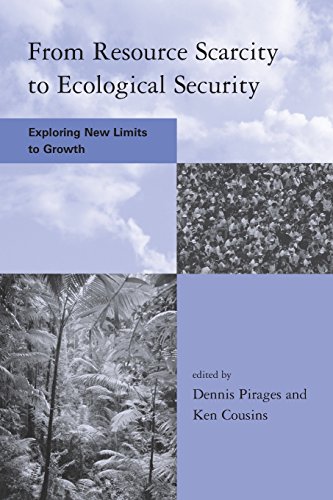 Stock image for From Resource Scarcity to Ecological Security (Global Environmental Accord: Strategies for Sustainability and Institutional Innovation) for sale by Anybook.com