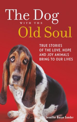 Stock image for The Dog With the Old Soul for sale by Anybook.com