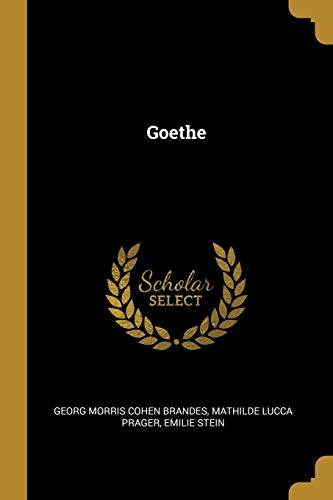 Imagen de archivo de Goethe (German Edition) a la venta por ALLBOOKS1