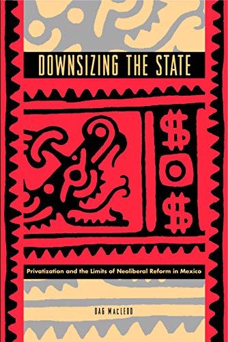 9780271023656: Downsizing the State: Privatization and the Limits of Neoliberal Reform in Mexico