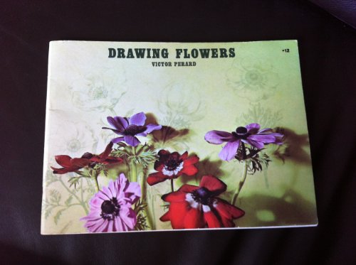 9780273401124: Drawing Flowers