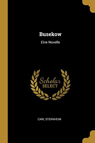 Stock image for Busekow: Eine Novelle for sale by Buchpark