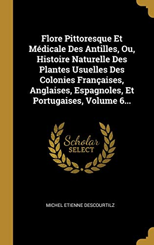 9780274957842: Flore Pittoresque Et Médicale Des Antilles, Ou, Histoire Naturelle Des Plantes Usuelles Des Colonies Françaises, Anglaises, Espagnoles, Et Portugaises, Volume 6...