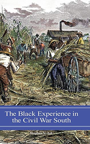9780275985240: The Black Experience in the Civil War South (Reflections on the Civil War Era)
