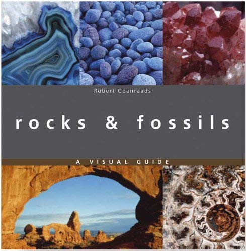 Stock image for Rocks and Fossils, a Visual Guide for sale by WorldofBooks