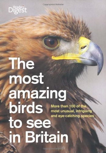 Stock image for The Most Amazing Birds to See in Britain: More Than 120 Unusual and Eye-Catching Species (Readers Digest) for sale by AwesomeBooks