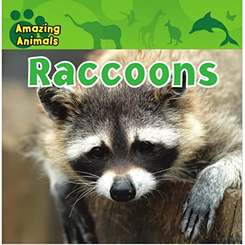 Beispielbild fr ALL ABOUT ANIMALS RACCOONS zum Verkauf von WorldofBooks