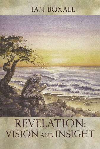 Stock image for Revelation: Vision and Insight: Vision and Insight - An Introduction to the Apocalypse for sale by WorldofBooks