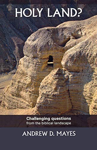 Stock image for Holy Land?: Challenging Questions From The Biblical Landscape for sale by OwlsBooks