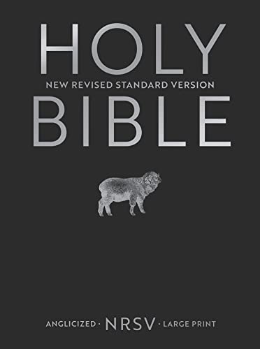 Beispielbild fr NRSV Holy Bible: Nrsv zum Verkauf von WorldofBooks