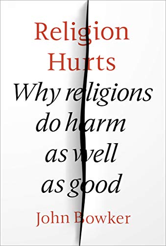 Imagen de archivo de Religion Hurts: Why Religions do Harm as well as Good a la venta por WorldofBooks