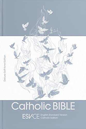 Stock image for ESV-CE Catholic Bible, Anglicized Deluxe Soft-tone Edition: English Standard Version  " Catholic Edition for sale by WorldofBooks
