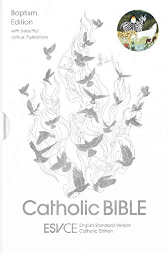 Stock image for Esv-ce Catholic Bible, Anglicized Baptism Edition With Beautiful Colour Illustrations With Slipcase (Esv-ce, English Standard Version-catholic Edition) for sale by GreatBookPrices