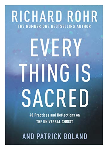 Beispielbild fr Every Thing is Sacred: 40 Practices and Reflections on The Universal Christ zum Verkauf von WorldofBooks