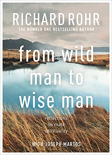 Imagen de archivo de From Wild Man to Wise Man: Reflections on Male Spirituality a la venta por WorldofBooks