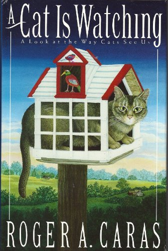 Beispielbild fr A Cat is Watching: A Look at the Way Cats See Us zum Verkauf von WorldofBooks
