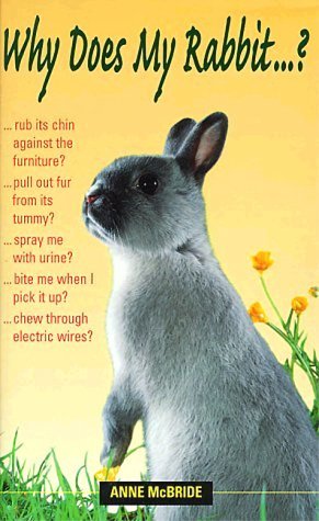 Beispielbild fr Why Does My Rabbit.? zum Verkauf von Better World Books