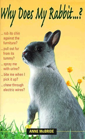 Imagen de archivo de Why Does My Rabbit.? a la venta por Better World Books