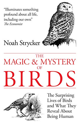 Beispielbild fr The Magic and Mystery of Birds: The Surprising Lives of Birds and What They Reveal About Being Human zum Verkauf von WorldofBooks