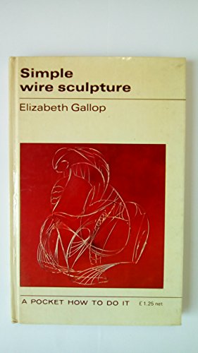 9780289796795: Simple Wire Sculpture (How to Do it S.)