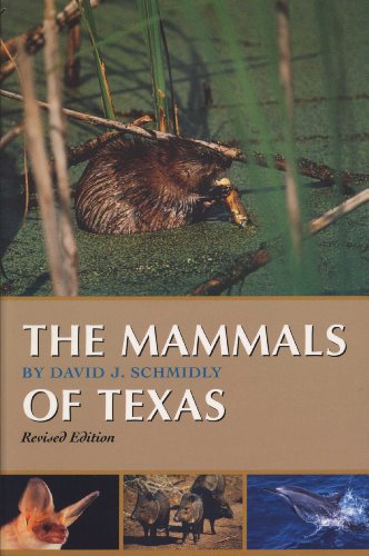 Stock image for The Mammals of Texas: Revised Edition (Corrie Herring Hooks Series) for sale by HPB-Movies