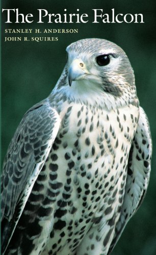 Imagen de archivo de The Prairie Falcon a la venta por ThriftBooks-Dallas