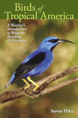 Beispielbild fr Birds of Tropical America: A Watcher's Introduction to Behavior, Breeding, and Diversity zum Verkauf von ThriftBooks-Dallas