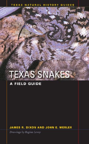 Texas Snakes: A Field Guide (Texas Natural History GuidesT - Dixon, James R.; Werler, John E.