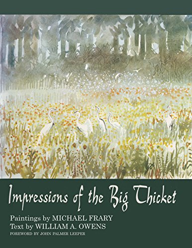 Beispielbild fr Impressions of the Big Thicket (Number 4 Blaffer Series of Southwestern Art) zum Verkauf von Books From California
