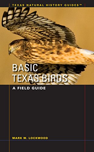 9780292713499: Basic Texas Birds: A Field Guide