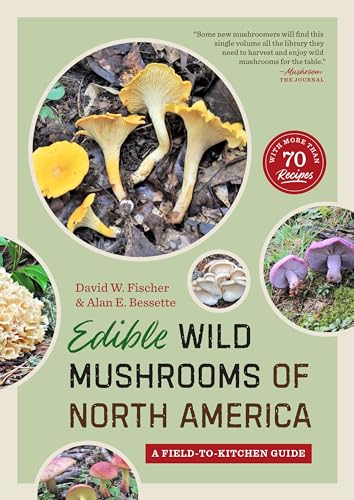 Stock image for Edible Wild Mushrooms of North America: A Field-To-Kitchen Guide for sale by ThriftBooks-Dallas