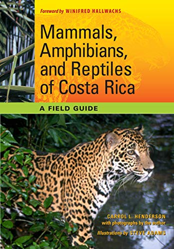 Imagen de archivo de Mammals, Amphibians, and Reptiles of Costa Rica: A Field Guide (Corrie Herring Hooks Series) a la venta por GoldBooks