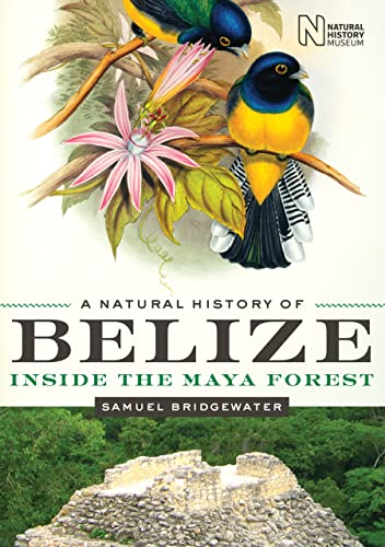 A Natural History of Belize: Inside the Maya Forest (Corrie Herring Hooks)