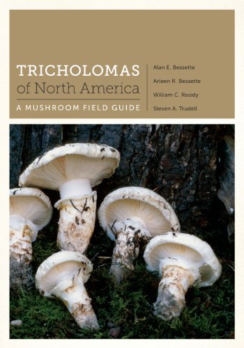 Stock image for Tricholomas of North America: A Mushroom Field Guide (Corrie Herring Hooks Series) for sale by Michael Knight, Bookseller