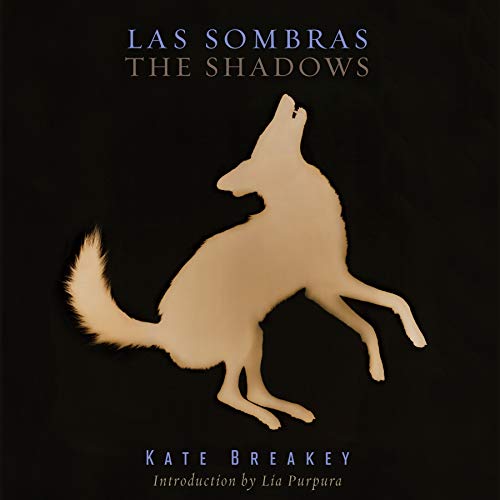 Beispielbild fr Las Sombras / The Shadows zum Verkauf von COLLINS BOOKS